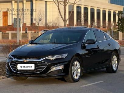 This was MALIBU 9's picture